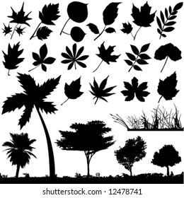 flower, leaf and tree vector