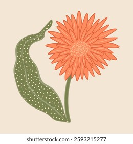 Flower with leaf vector illustration. Cute orange bloom with stem and textured leaf on pastel beige background. Decorative modern botanical design for print, home decor, card in flat minimalist style
