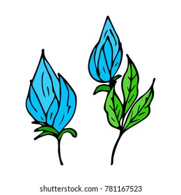 Flower with leaf vector illustration. Doodle style. Design, print, decor, textile, paper
