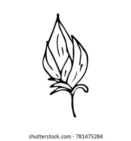 Flower with leaf vector illustration. Doodle style. Design, print, decor, textile, paper
