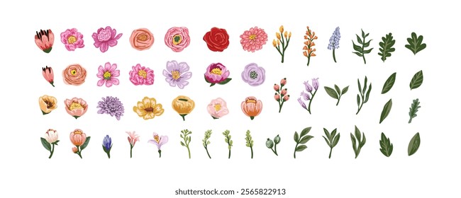 Flower and Leaf vector set, elements for design , flowers, twigs, leaves, herbs design isolated on white background.