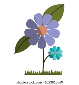flower and leafs cultivated