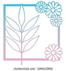 flower and leafs decorative square frame