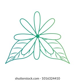 flower and leafs floral decoration
