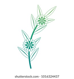 flower and leafs floral decoration