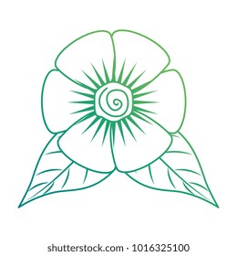 flower and leafs floral decoration
