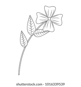 flower and leafs floral decoration
