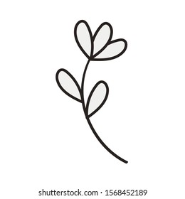 flower and leafs garden icon vector illustration design