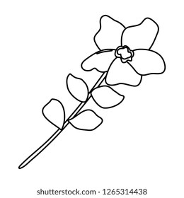 flower with leafs icon