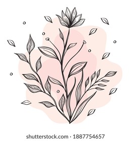 flower and leafs plants nature drawn icon vector illustration design