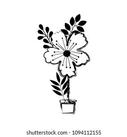flower and leafs in pot decorative