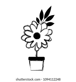 flower and leafs in pot decorative