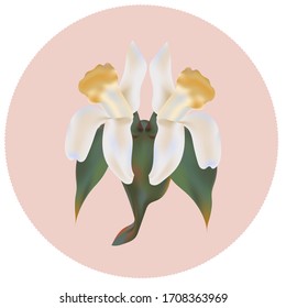  Flower in leafs vector illustration symbol