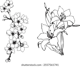 Flower with leave line art vector illustration