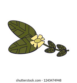 Flower and leaves