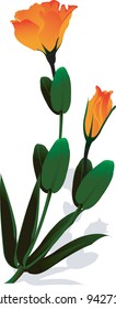 flower and leaves	