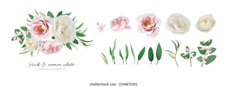 Flower, leaves, bouquet set. Vector watercolor pink, ivory cream white rose flowers, green leaves, greenery illustration. Editable garden designer elements. Elegant wedding invite, greeting decoration