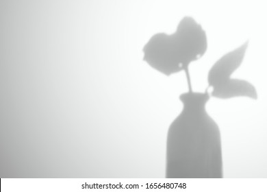 Flower with leaves in a ceramic vase. Shadow on a white wall. Vector mockup for design