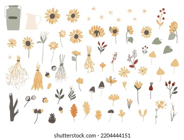 Flower and leaves collection isolated on white. Vector cute cartoon flat illustration, floral sticker set bundle: sunflower, leaf, berries, branch, vase. Beautiful herbs feminine collection