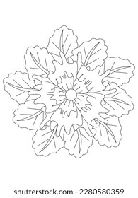  flower leaves Coloring page for adult. Contour drawing of a mandala on a white background. Vector illustration