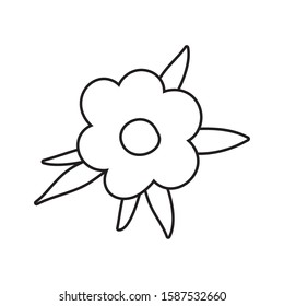 Flower with leaves design, floral nature plant ornament garden decoration and botany theme Vector illustration