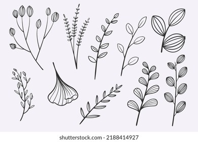 flower leaves doodle hand drawn vector illustration set