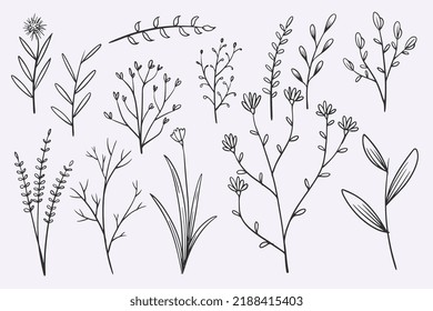 flower leaves doodle hand drawn vector illustration set
