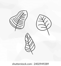 Flower and Leaves Doodles Lineart