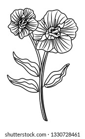 Flower with leaves drawing