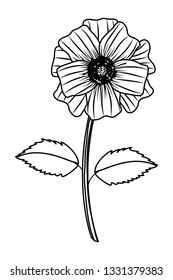 Flower with leaves drawing