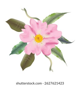 Flower and leaves Drawing and illustration
