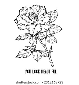 Flower and leaves drawing. Vector hand engraved floral set. Botanical roses, branch. Black ink sketch. Great for tattoos, invitations, greeting cards, decor