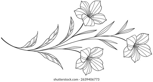 flower and leaves drawing. Vector hand drawn engraved floral card. Botanical, branch and flower Black ink sketch. Great for tattoo, invitations, greeting cards, decor .