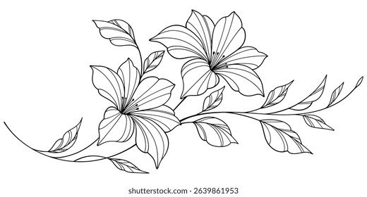 flower and leaves drawing. Vector hand drawn engraved floral card. Botanical, branch and flower Black ink sketch. Great for tattoo, invitations, greeting cards, decor 
