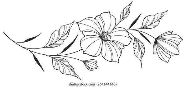 flower and leaves drawing. Vector hand drawn engraved floral card. Botanical, branch and flower Black ink sketch. Great for tattoo, invitations, greeting cards, decor