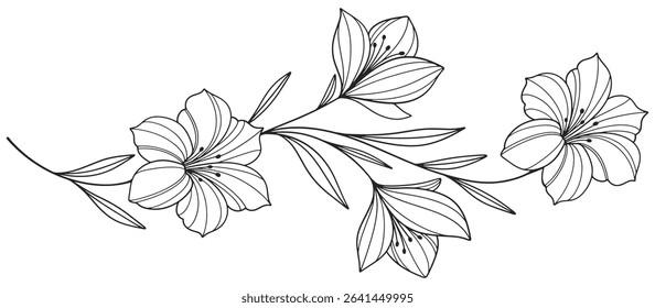flower and leaves drawing. Vector hand drawn engraved floral card. Botanical, branch and flower Black ink sketch. Great for tattoo, invitations, greeting cards, decor