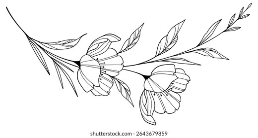 flower and leaves drawing. Vector hand drawn engraved floral card. Botanical, branch and flower Black ink sketch. Great for tattoo, invitations, greeting cards, decor