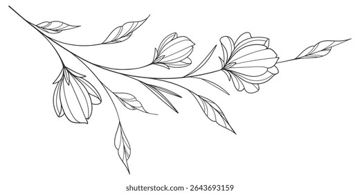flower and leaves drawing. Vector hand drawn engraved floral card. Botanical, branch and flower Black ink sketch. Great for tattoo, invitations, greeting cards, decor