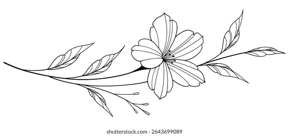 flower and leaves drawing. Vector hand drawn engraved floral card. Botanical, branch and flower Black ink sketch. Great for tattoo, invitations, greeting cards, decor