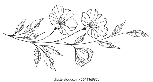 desenho de flores e folhas. Cartão floral gravado desenhado à mão vetor. Botânico, ramo e flor Tinta preta esboço. Ótimo para tatuagem, convites, cartões de saudação, decoração
