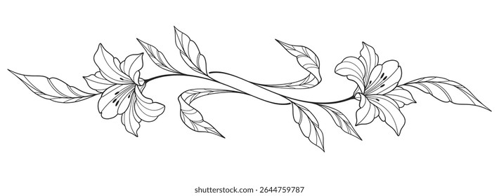 flower and leaves drawing. Vector hand drawn engraved floral card. Botanical, branch and flower Black ink sketch. Great for tattoo, invitations, greeting cards, decor