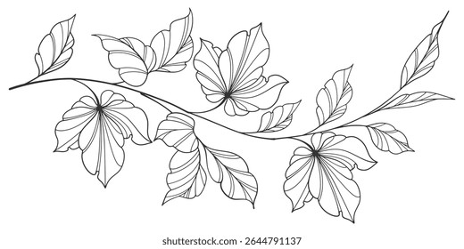flower and leaves drawing. Vector hand drawn engraved floral card. Botanical, branch and flower Black ink sketch. Great for tattoo, invitations, greeting cards, decor
