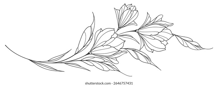 flower and leaves drawing. Vector hand drawn engraved floral card. Botanical, branch and flower Black ink sketch. Great for tattoo, invitations, greeting cards, decor