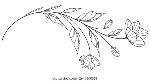 desenho de flores e folhas. Cartão floral gravado desenhado à mão vetor. Botânico, ramo e flor Tinta preta esboço. Ótimo para tatuagem, convites, cartões de saudação, decoração