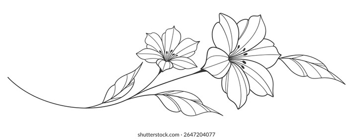Dibujo de flores y hojas. Tarjeta floral grabada dibujada a mano de Vector. Botánico, rama y flor Boceto de tinta negra. Grande para el tatuaje, invitaciones, tarjetas de felicitación, decoración