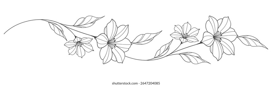 flower and leaves drawing. Vector hand drawn engraved floral card. Botanical, branch and flower Black ink sketch. Great for tattoo, invitations, greeting cards, decor