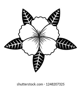 flower leaves foliage on white background