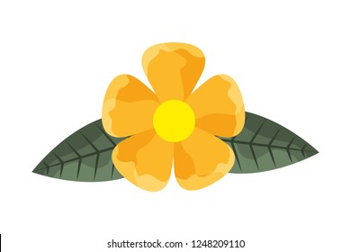 flower leaves foliage on white background