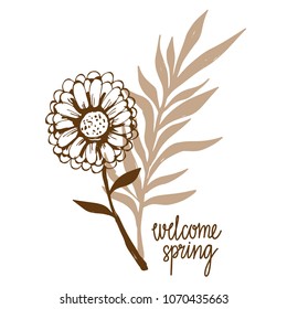 Flower, leaves hand drawn isolated on white background. Hello spring handwriting font, lettering