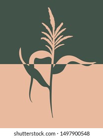 Flower, leaves and herbs. Card, background